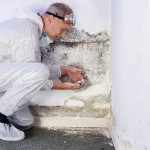 remontées capillaires