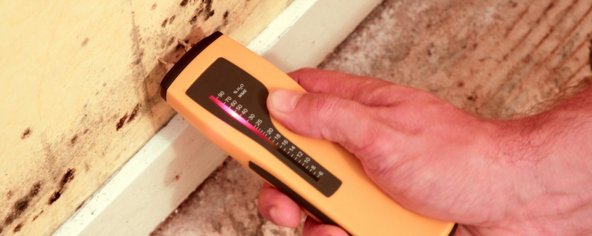 testeur humidité mur