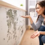 humidité mur