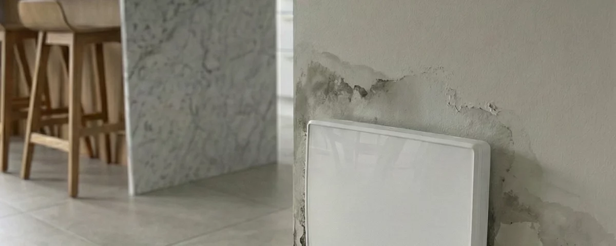 Appareil installé sur mur humide avec traces de remontées capillaires
